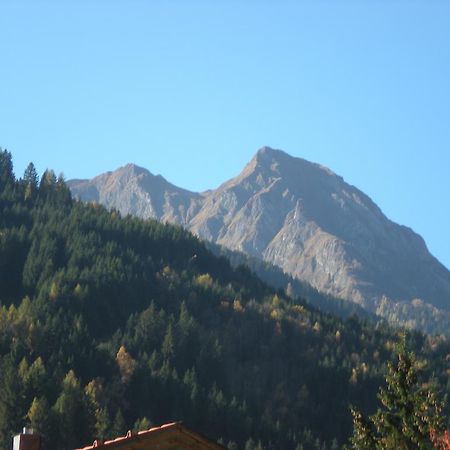 Ferienwohnung Haus Zerza Dorfgastein Exterior foto